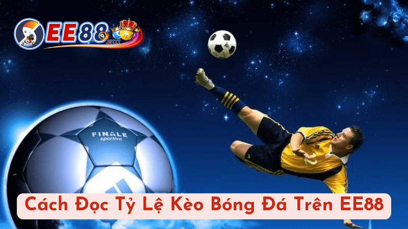 Cách Đọc Tỷ Lệ Kèo Bóng Đá Trên EE88