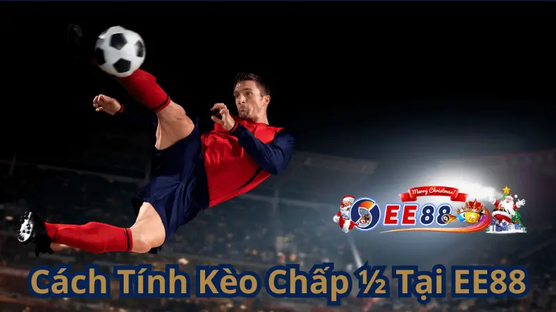 Cách Tính Kèo Chấp ½ Tại EE88